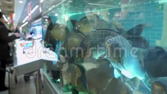 鱼缸里的大腐肉在鱼市上的买家背景视频的预览图