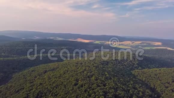 夏季傍晚森林山谷的鸟瞰景观视频的预览图