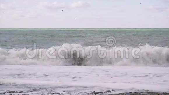条纹蓝绿色的大海和海鸥视频的预览图