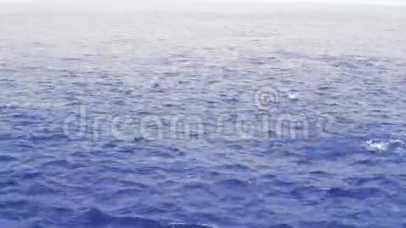一群海豚在开阔的海洋里从船上观看视频的预览图