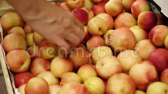 一个女人在蔬菜货架上的超市里买蔬菜和水果人类选择杏桃油桃视频的预览图