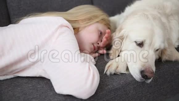 对宠物的爱小女孩和她的狗在客厅的沙发上休息视频的预览图
