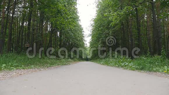 在森林小径上奔跑的女孩视频的预览图