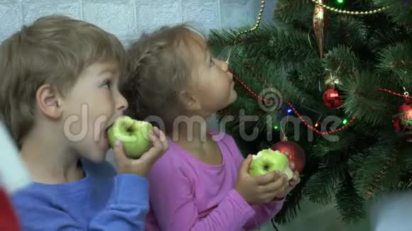 小男孩和小女孩坐在地板上在圣诞树旁边吃苹果视频的预览图