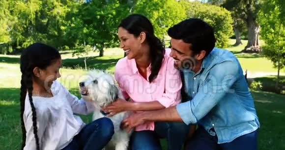 一家人和他们的宠物狗一起在公园里玩视频的预览图
