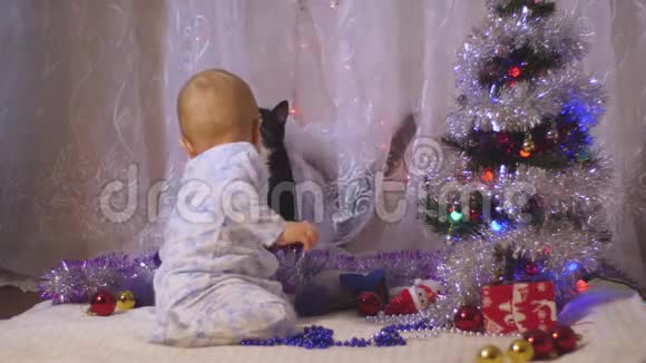 婴儿穿着星星的睡衣在圣诞树的背景下和猫玩4k慢动作快速射击视频的预览图