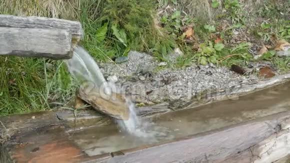 纯净的山涧清澈的水流穿过一片绿色的区域速流山水近上观特写视频的预览图