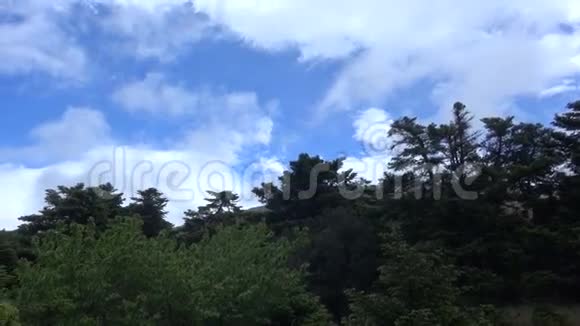 森林对抗乌云的天空视频的预览图