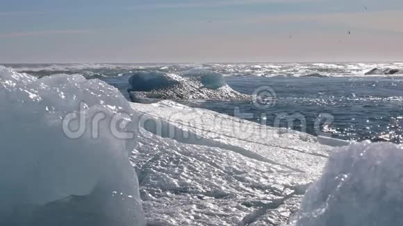 冰山漂向大海视频的预览图