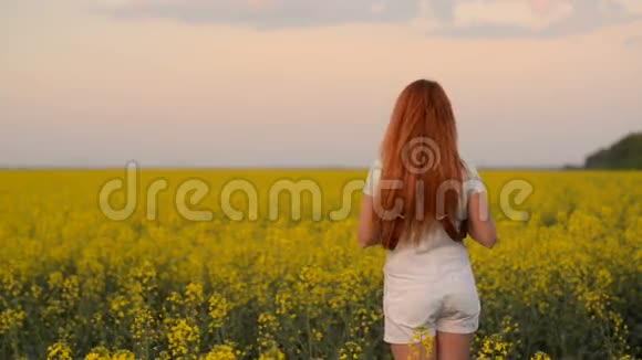 一位年轻的女摄影师在盛开的田野里视频的预览图