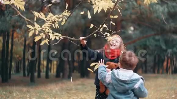 有趣的小女孩摇着树枝黄色的秋叶从树上飘落下来她的弟弟试图使她如何视频的预览图