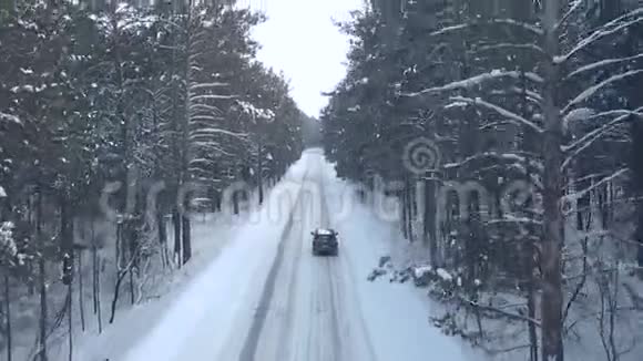 森林中灰色汽车行驶道路的鸟瞰图视频的预览图
