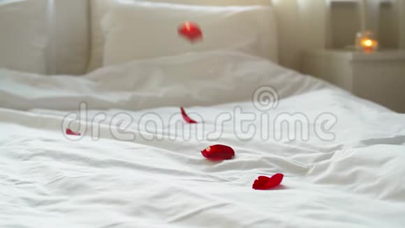 情人节那天红色的花瓣飘落到床上视频的预览图