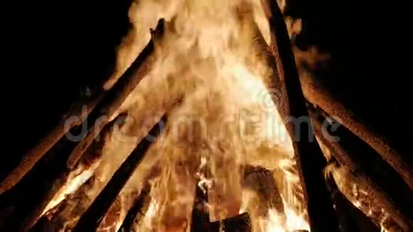 夜晚的篝火在橙色火焰中燃烧原木视频的预览图