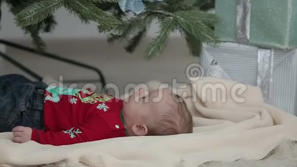 圣诞树下的小可爱视频的预览图
