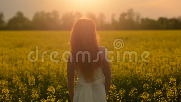 年轻的红发女子在一片开花的田野里飞舞着头发视频的预览图