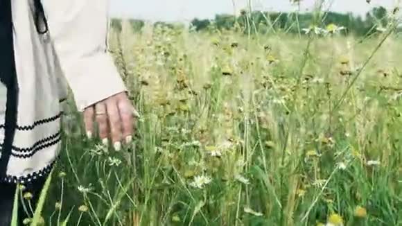 自由概念女孩的手触摸小穗小麦慢动作视频的预览图