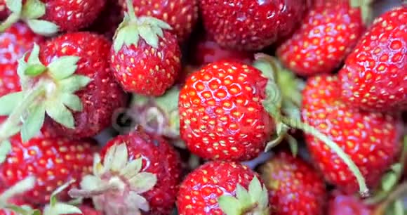 新鲜水果美味草莓作为食物的背景有机健康成熟草莓营养视频的预览图