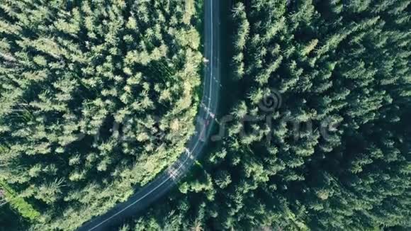 欧洲森林和一辆红色汽车在路上超速行驶视频的预览图