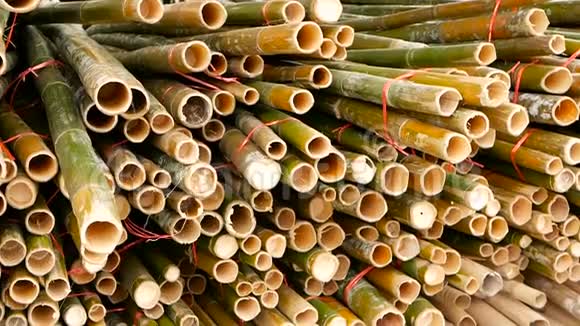 圆形交叉切片竹干束堆准备用作亚洲建筑材料自然视频的预览图