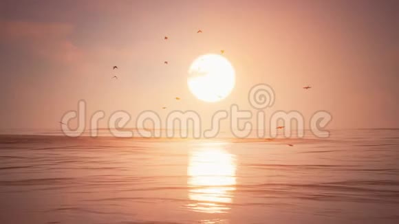 日落与鸟视频的预览图