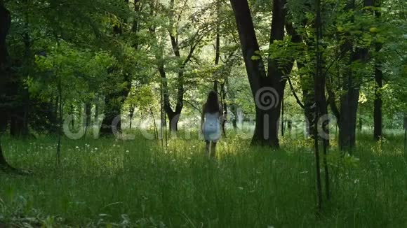 女人走在早晨的树林旁视频的预览图