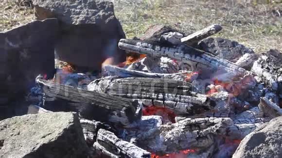 篝火和石头视频的预览图