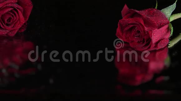 带露的红玫瑰与玻璃的倒影视频的预览图