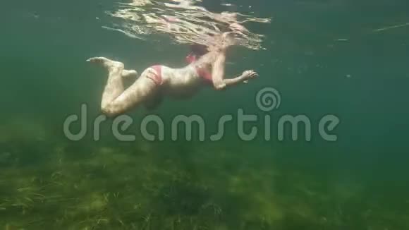 一个怀孕的快乐的年轻女人在开阔的大海里游泳和潜水视频的预览图