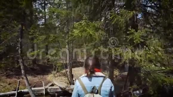 快乐的女孩旅行者穿过野生森林穿着牛仔裤徒步旅行夹克和徒步旅行背包一片茂密的森林视频的预览图