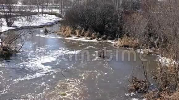 春天的河流和阳光视频的预览图