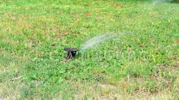 绿化草坪上洒水自动灌溉系统室外浇灌绿草草坪视频的预览图