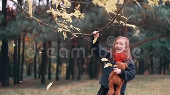 有趣的小女孩摇着树枝黄色的秋叶从树上飘落下来她的弟弟试图使她如何视频的预览图