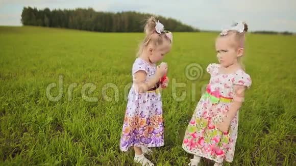 两个可爱的小妹妹双胞胎在一片草地上吹泡互相亲吻视频的预览图
