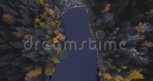 空中无人机观湖和森林在树木之上俄罗斯风景有松树和冷杉晚上在野外4k视频的预览图
