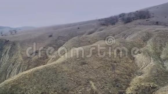 飞过棕色的山丘视频的预览图
