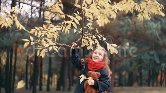 可爱的欢笑的有趣的快乐的小女孩带着泰迪熊摇摇树枝黄色的秋叶从树上飘落下来视频的预览图