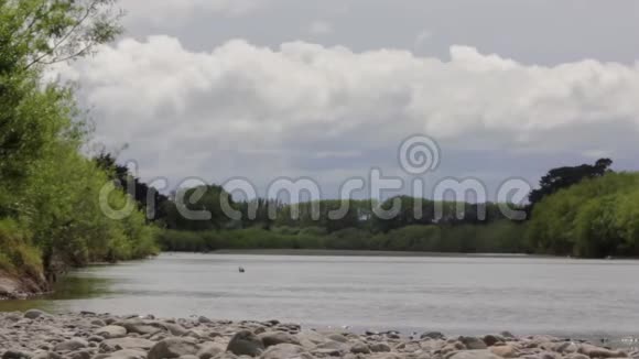 河流景观树木随风摇动黑鸟出没视频的预览图