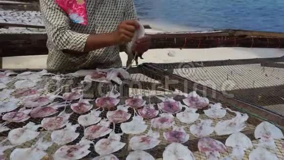 泰国女人的手在网上撒鱿鱼干泰国萨梅的干海鲜生产视频的预览图
