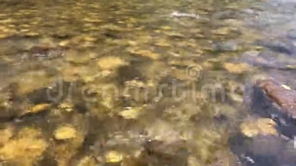 清水下的石头石头下的河水流动视频的预览图