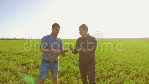 两个农夫沿着绿草地散步农民站在麦田里英译汉1男人都是视频的预览图