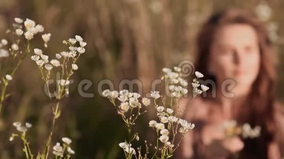 年轻美丽的女孩坐在绿色的草地上收集白色的花特写镜头视频的预览图
