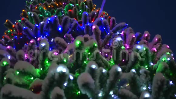 带有发光装饰的圣诞树在雪地里公园里的圣诞树视频的预览图