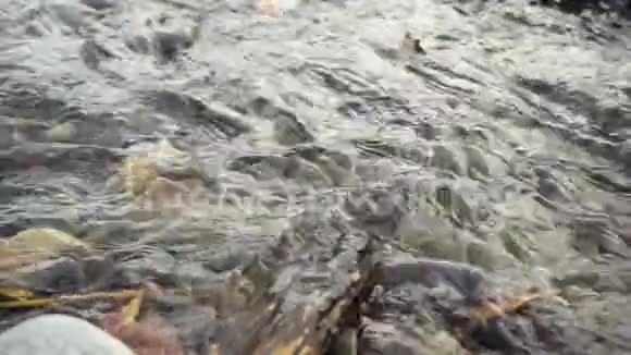 超级慢动作美丽的水流视频的预览图