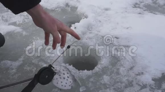 抓到了躺在冰湖上的活鱼在冬天近距离捕鱼视频的预览图
