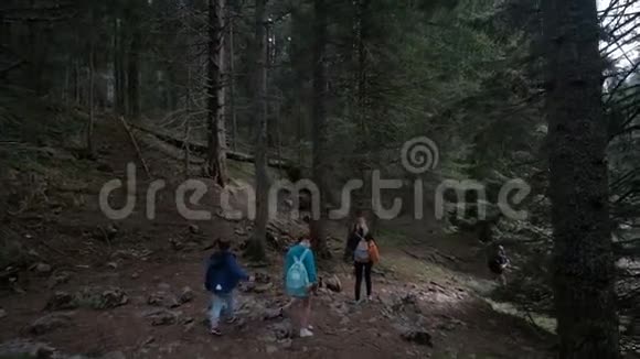 一个有孩子的家庭正沿着茂密森林的斜坡行走视频的预览图