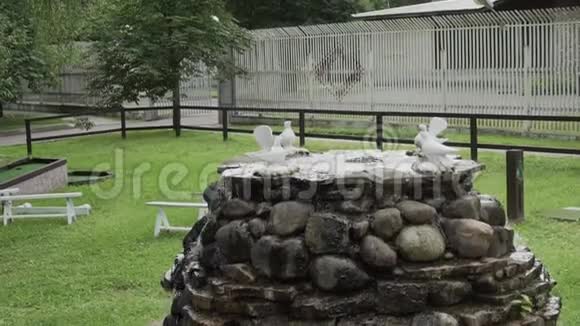 喷泉在一座用天然石头建造的房子的院子里视频的预览图