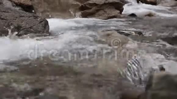 山河山涧与瀑布视频的预览图