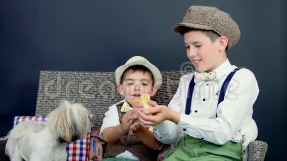 两个穿着时髦的乡下男孩和小鸭子小鸡和一只小狗玩背景是干草堆彩色的视频的预览图