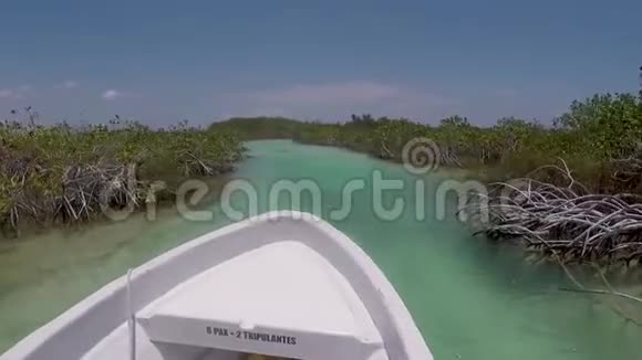 西安卡安湖和生物圈保护区旅游MuyilTulum墨西哥视频高清视频的预览图